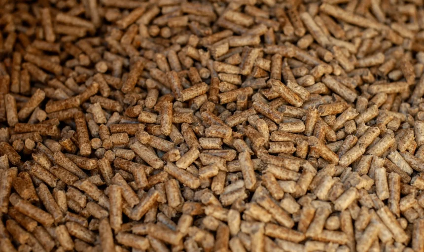 production-wooden-products-modern-production-technologies-woodworking-industry-furniture-indus