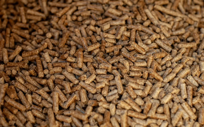 production-wooden-products-modern-production-technologies-woodworking-industry-furniture-indus